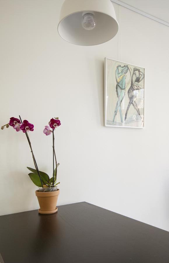 Tweede Laurierdwarsstraat Apartment อัมสเตอร์ดัม ภายนอก รูปภาพ